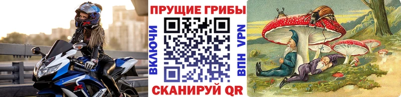 Галлюциногенные грибы ЛСД  KRAKEN сайт  Исилькуль 